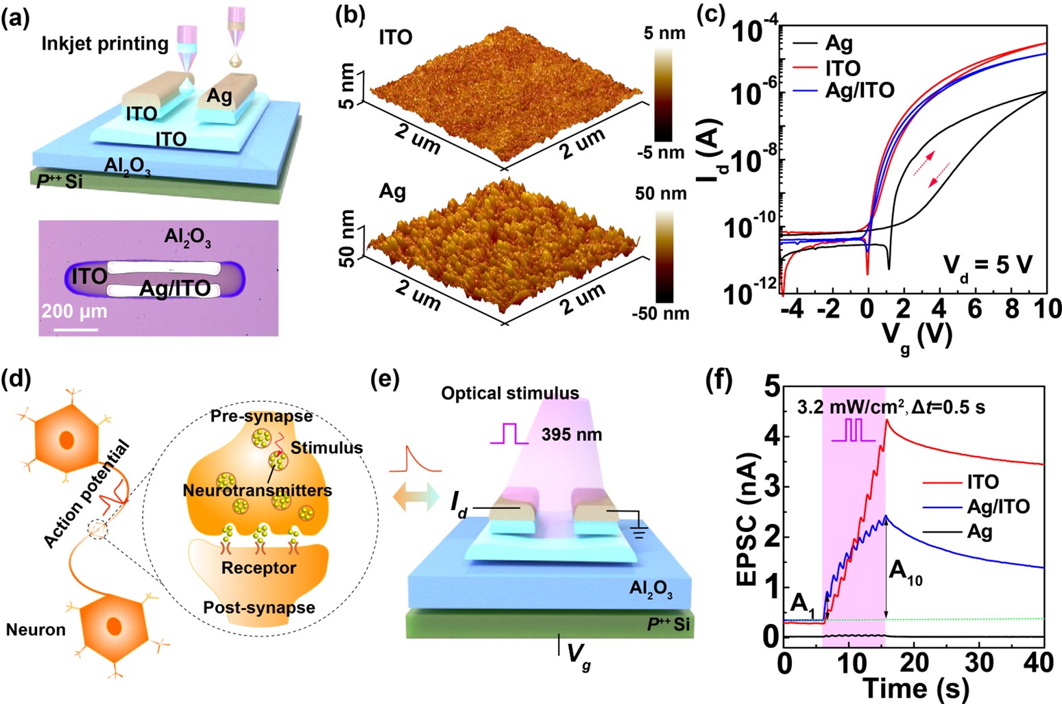 Bowen Zhu Research Group From Westlake University Made A New Progress ...