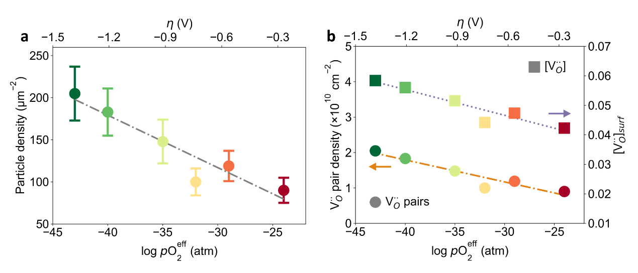 Quantifying Electrochemical Driving Forces in Exsolution of Perovskite