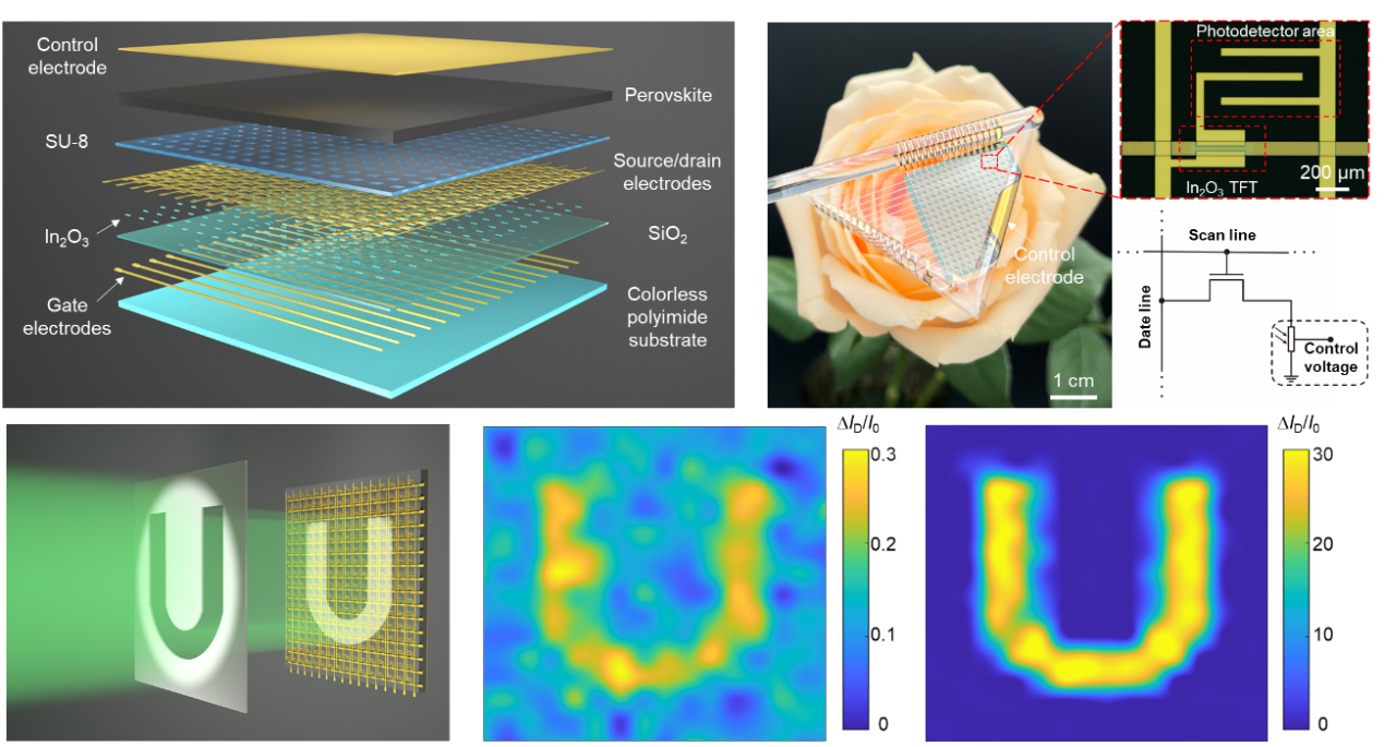 Researchers Improve Flexible Photodetectors Through New Approach